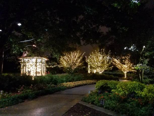 istock Landscaping and Gardening 8 1003192388