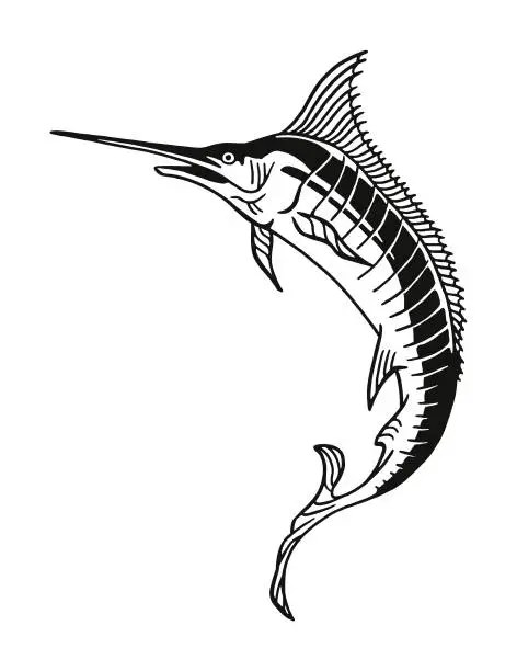 Vector illustration of Swordfish