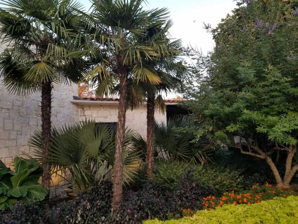 istock Landscaping and Gardening 8 1003192556