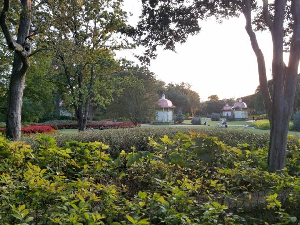 istock Landscaping and Gardening 8 1003192564