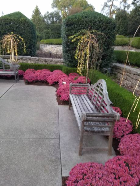 istock Landscaping and Gardening 8 1003192598