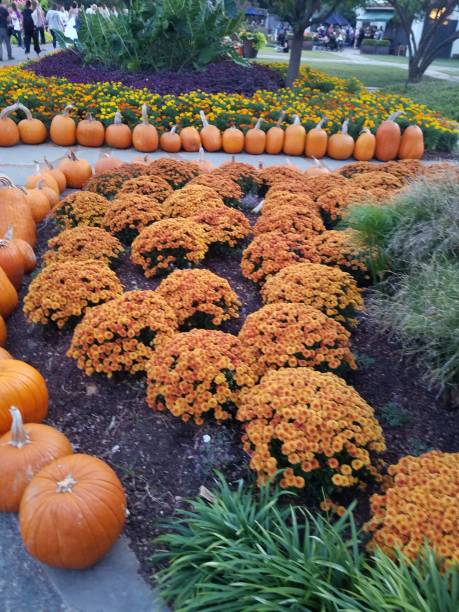 istock Landscaping and Gardening 8 1003192604