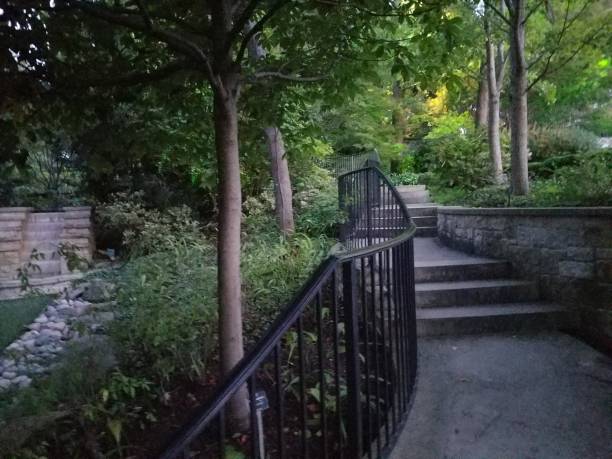 istock Landscaping and Gardening 8 1003192628