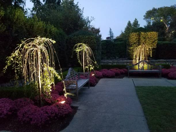 istock Landscaping and Gardening 8 1003192642