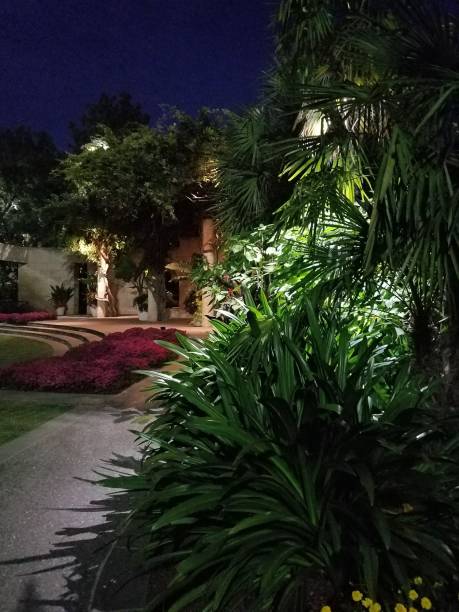 istock Landscaping and Gardening 8 1003192664