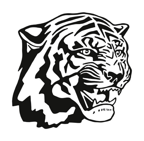 3,400+ Angry Tiger Face Stock Illustrations, Royalty-Free Vector ...