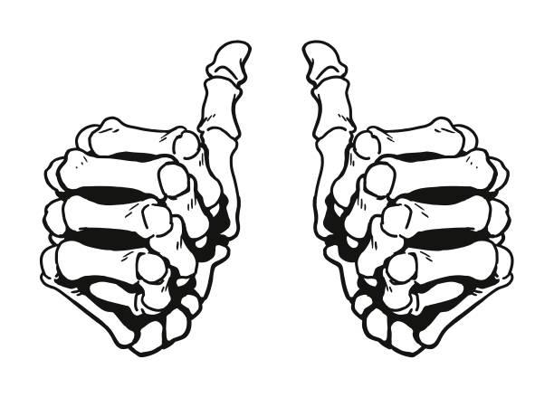 dwa kciuki w górę - kostka ręka człowieka stock illustrations