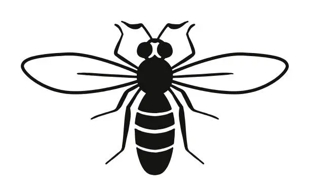 Vector illustration of Bee