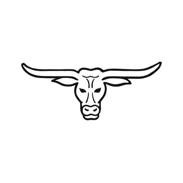 illustrazioni stock, clip art, cartoni animati e icone di tendenza di toro longhorn - texas longhorn cattle horned cattle farm