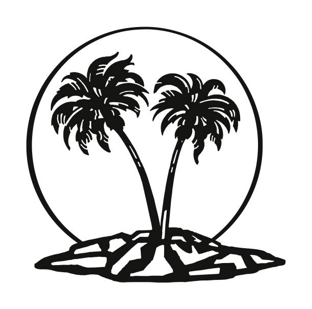 illustrations, cliparts, dessins animés et icônes de palm tree island - hawaii islands beach island palm tree
