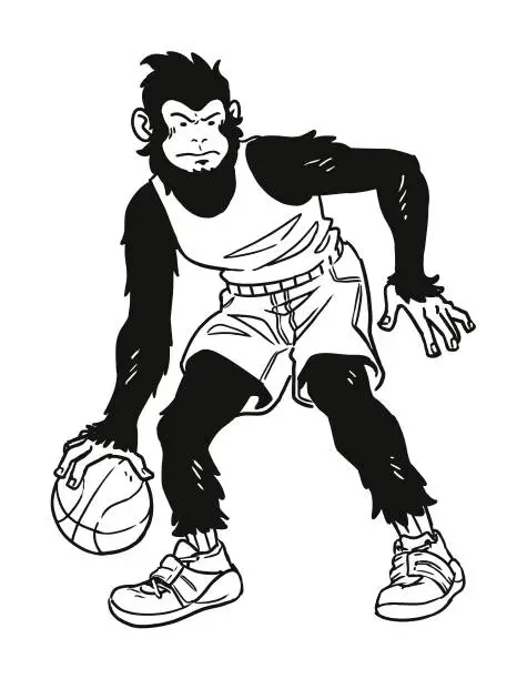 Vector illustration of Ape Playing Basketball