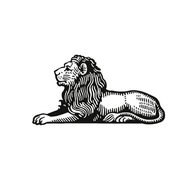 ilustraciones, imágenes clip art, dibujos animados e iconos de stock de león - león