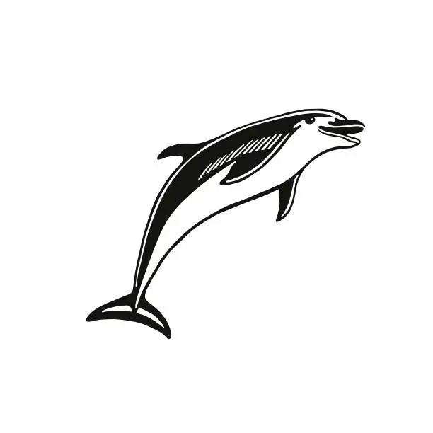 Vector illustration of Dophin