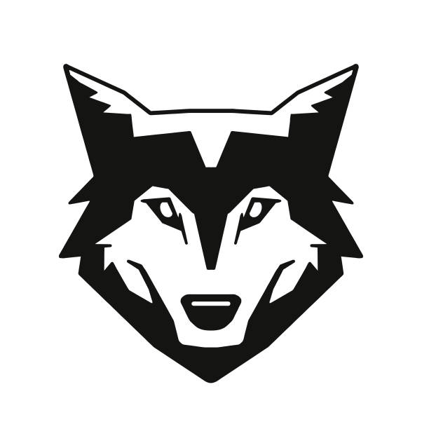 ilustraciones, imágenes clip art, dibujos animados e iconos de stock de lobo - perro salvaje