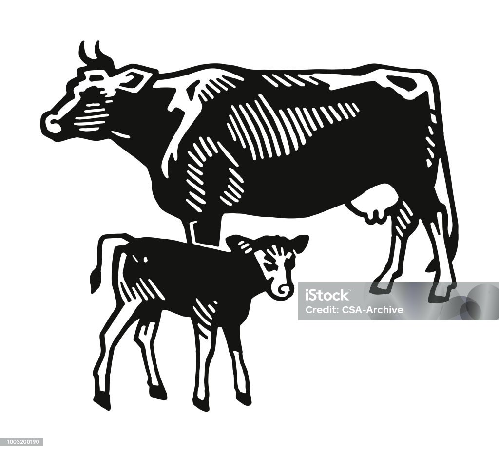 Cow and Calf Cow stock vector