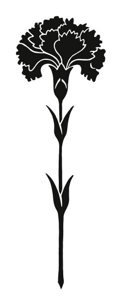 nelke - caryophyllaceae stock-grafiken, -clipart, -cartoons und -symbole