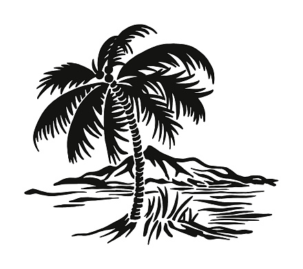 Palm Tree Scene