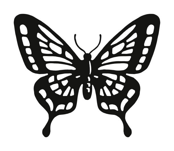 Butterfly Butterfly butterfly stock illustrations
