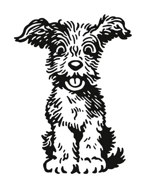 Vector illustration of Fluffy Dog