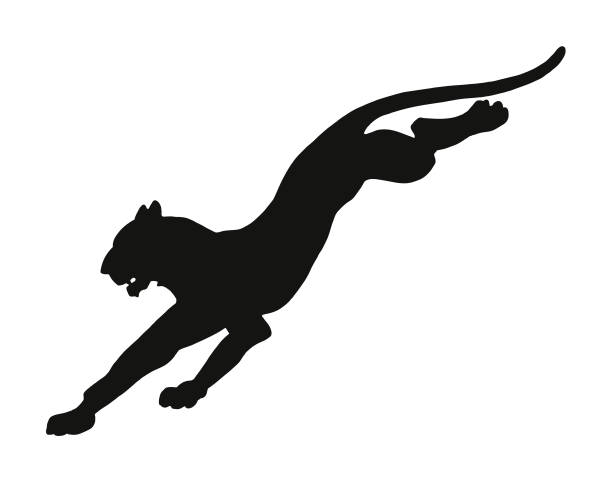 ilustrações de stock, clip art, desenhos animados e ícones de leaping wildcat - bobcat wildcat undomesticated cat animal