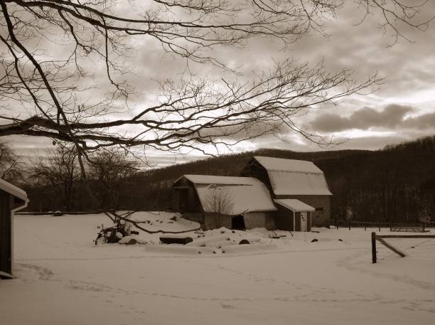 Rural & Urban Landscapes