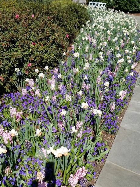 istock Gardens, Flowers, Music, Sculptures 1003210118