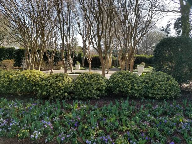 istock Gardens, Flowers, Music, Sculptures 1003210664