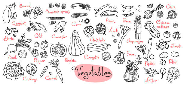 Set disegni di verdure per menu di design, ricette e pacchetti prodotto - illustrazione arte vettoriale