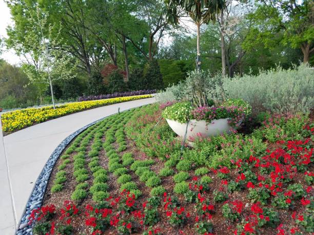 istock Landscaping and Gardening 11 1003221692