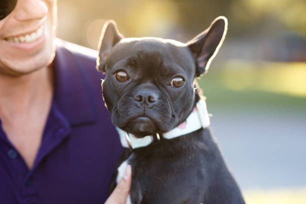 istock Cute black dog and its owner 1003222286
