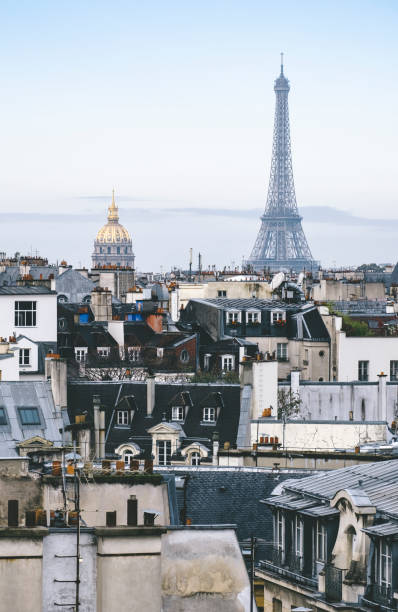 istock Aerial view of Paris with Eiffel tower 1003225536