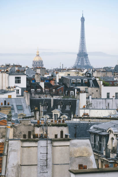 istock Aerial view of Paris with Eiffel tower 1003225548