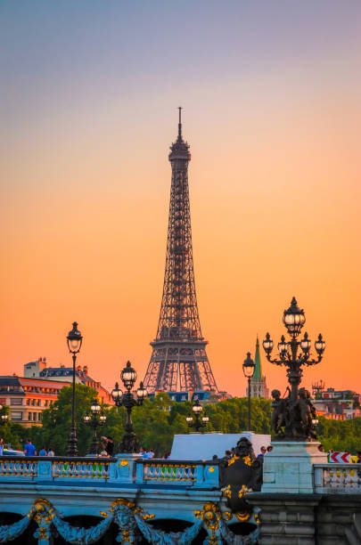 вид на эйфелеву башню и реку сену в париже, франция. - paris france panoramic seine river bridge стоковые фото и изображения