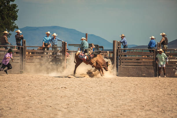 istock Cowboy riding a bucking bronco at a rodeo 1003231538