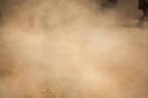 Dust floating in the air after a horse ran through.