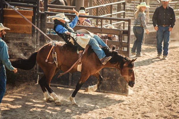 istock Cowboy riding a bucking bronco at a rodeo 1003231604
