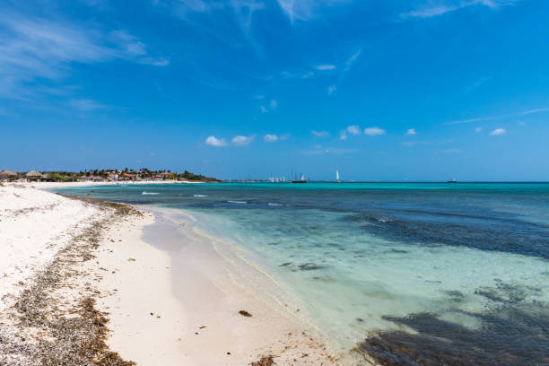 istock Aruba Northern Beaches 1003243160
