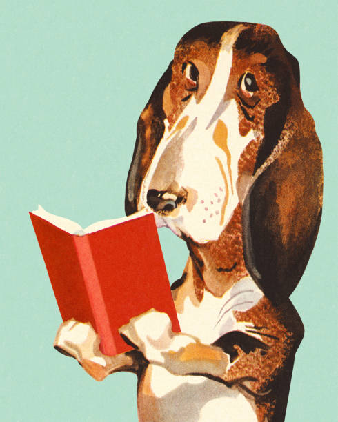 hund liest ein buch - color image colored background blue background animal stock-grafiken, -clipart, -cartoons und -symbole