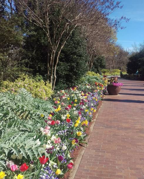 istock Landscaping and Gardening 18 1003248972