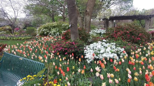 istock Landscaping and Gardening 18 1003249032