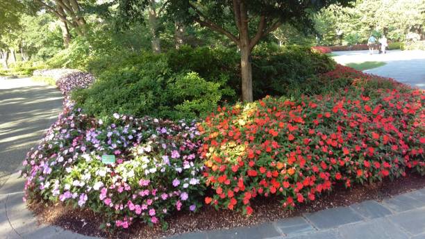 istock Landscaping and Gardening 20 1003252070