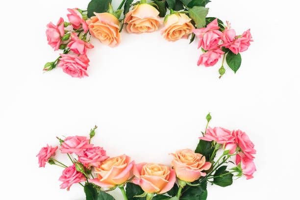 istock Frame made of roses flowers on white background. Flat lay, top view. 1003257170