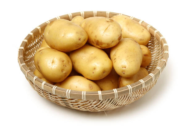 Raw Potato Full body Isolated on White Background