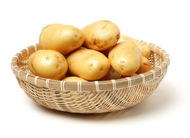 istock Raw Potato Full body Isolated on White Background 1003265974