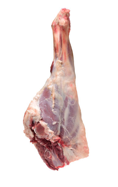 istock Leg of Lamb  isolated on white background 1003266218