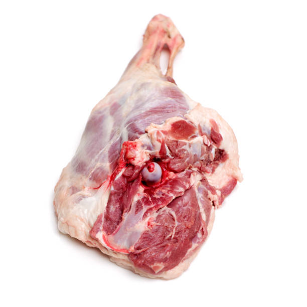 istock Leg of Lamb  isolated on white background 1003266236