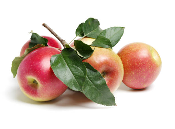 istock Ripe red apples and apple leaf isolated on white background 1003266832