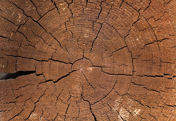istock wall of a traditional building 1003268970