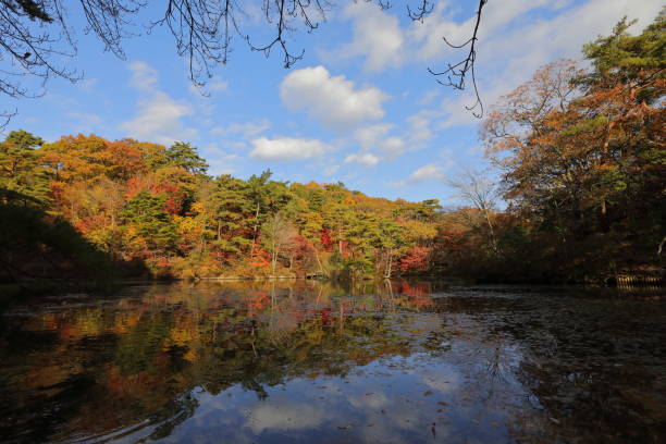 istock autumn leaves Kobe 1 1003269280