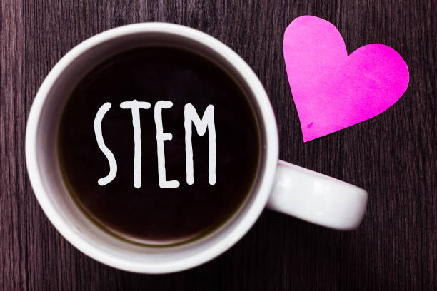 istock Handwriting text Stem. Concept meaning Development destruction of human embryos for science and research Mug coffee lovely thoughts ideas love hart romantic memories brown wood. 1003271870